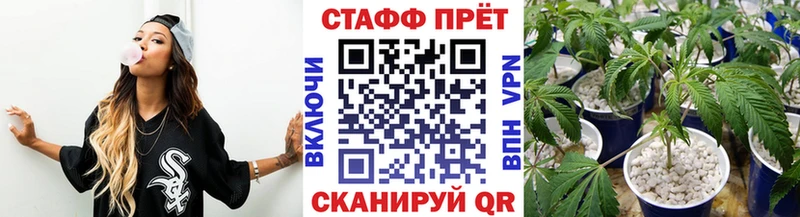 Где купить наркоту Лесной A PVP  МЕФ  Конопля  Кокаин 