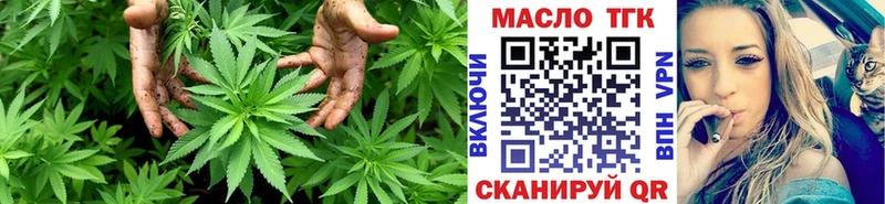 shop официальный сайт  где можно купить   hydra tor  Лесной  ТГК концентрат 