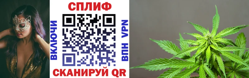 Канабис тримм  где купить наркоту  Лесной 